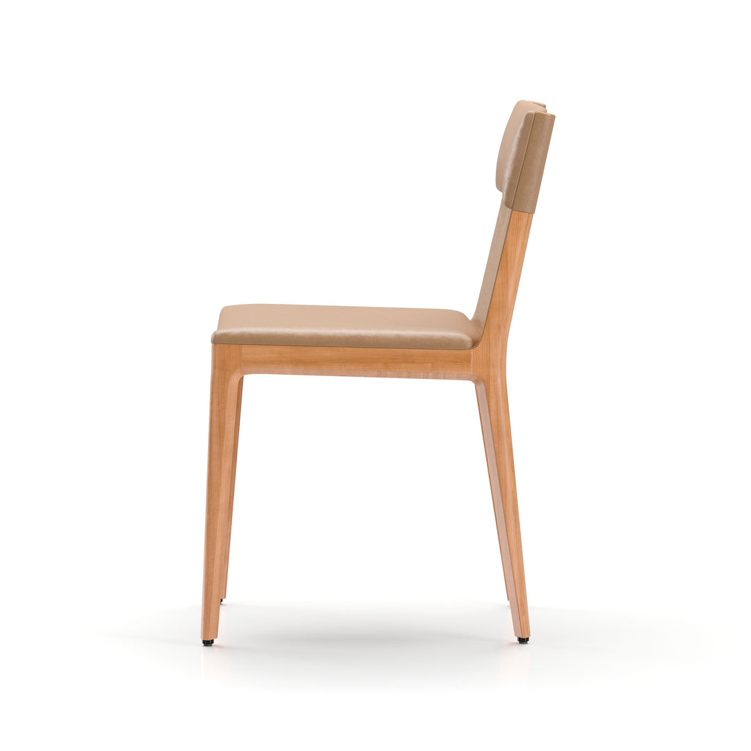 Taylor Dining Chair